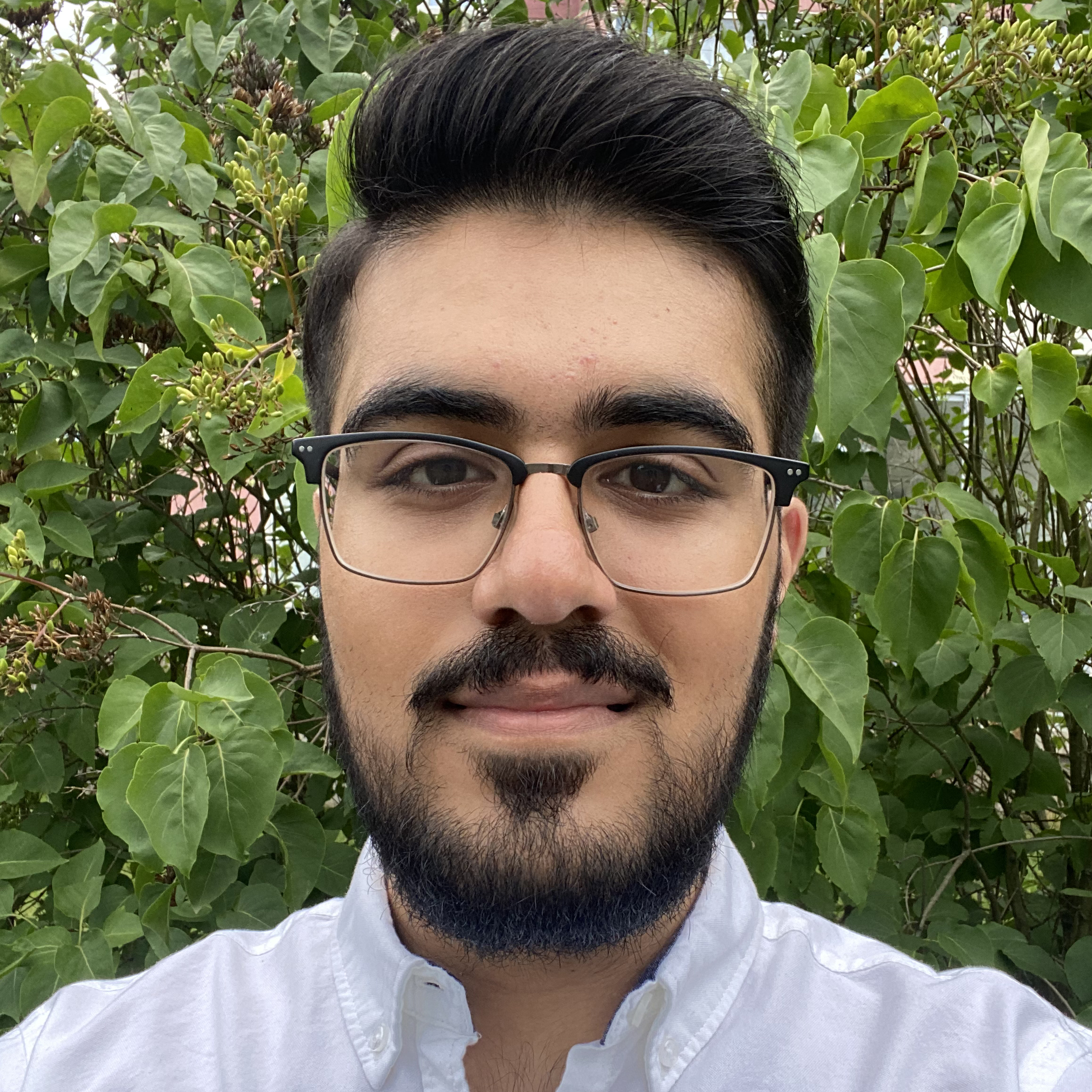 Profile Picture